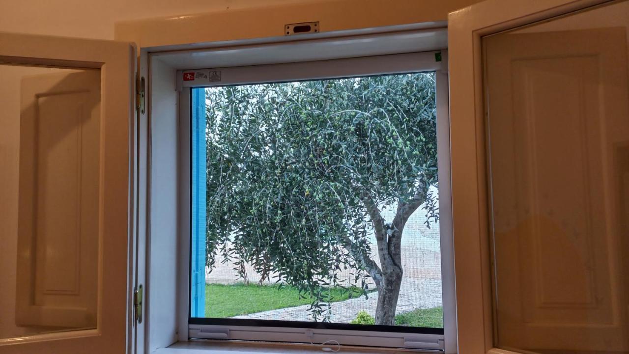 Villino Tronchetto Bianco Bed and Breakfast Mola di Bari Exteriör bild