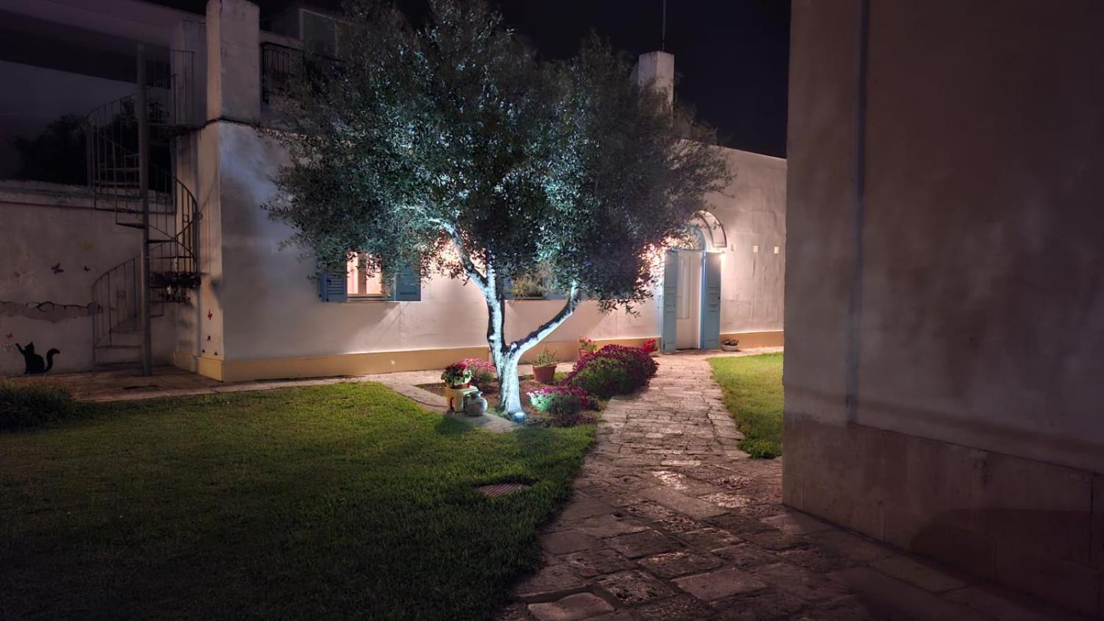 Villino Tronchetto Bianco Bed and Breakfast Mola di Bari Exteriör bild